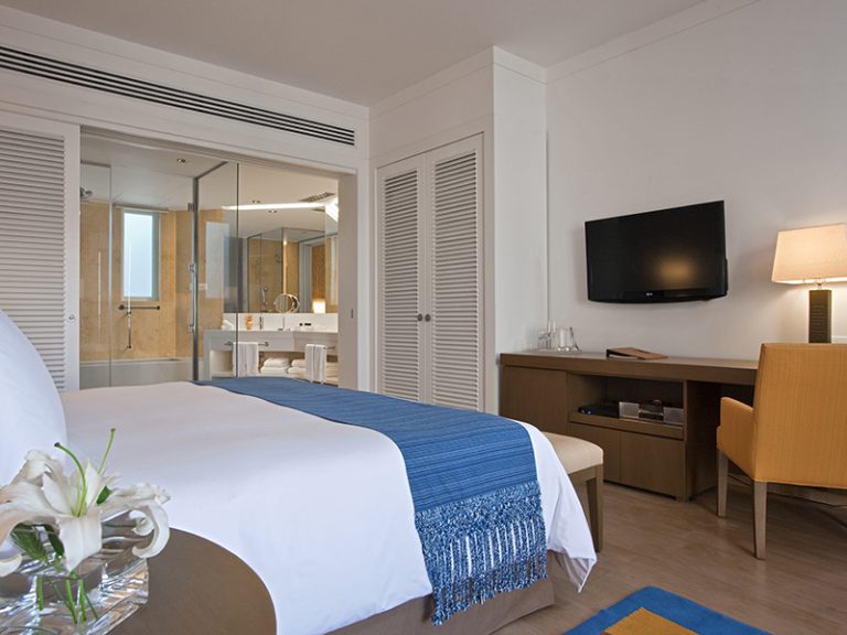 Deluxe Garden View King_2